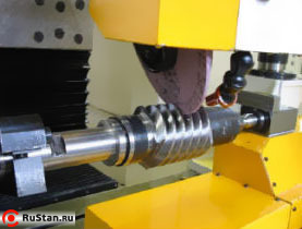 Червяк фото №4 Червяк фото №4